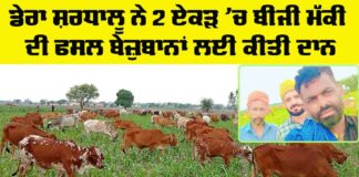 Animal Welfare Punjab