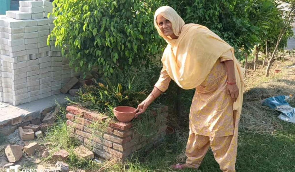 Welfare Work