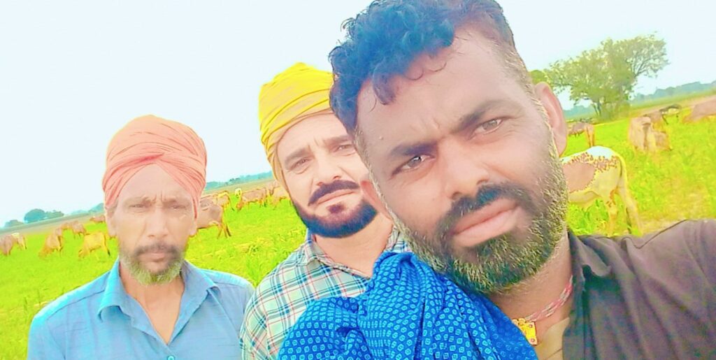 Animal Welfare Punjab