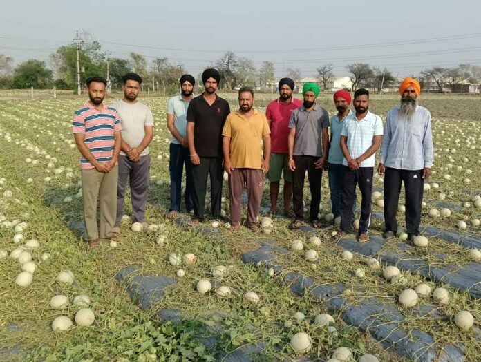 kisan Hailstorm Punjab
