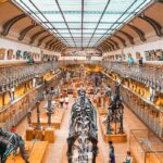 International Museum Day
