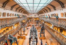 International Museum Day