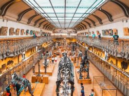 International Museum Day