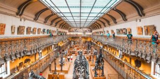 International Museum Day