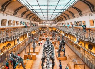 International Museum Day