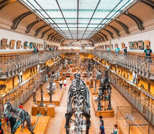International Museum Day