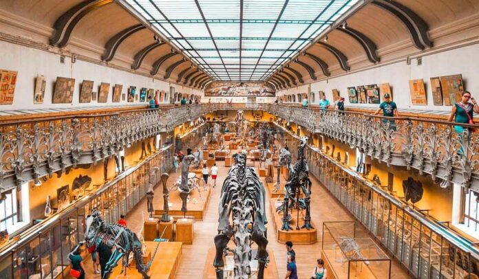 International Museum Day