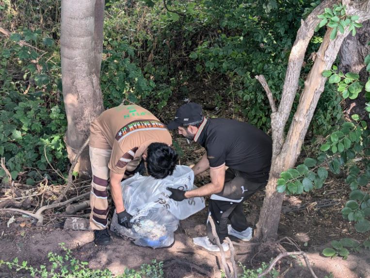 Birmingham Cleanup Drive