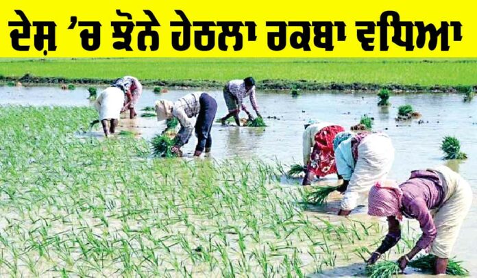 Area Under Paddy