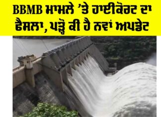 BBMB High Court Verdict