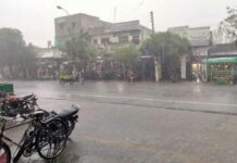 Bhadaur Weather News