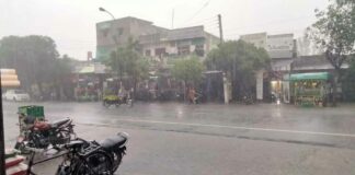 Bhadaur Weather News