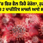 COVID Cases in Punjab