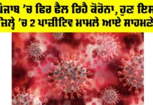 COVID Cases in Punjab