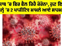 COVID Cases in Punjab