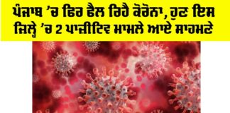 COVID Cases in Punjab