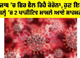 COVID Cases in Punjab