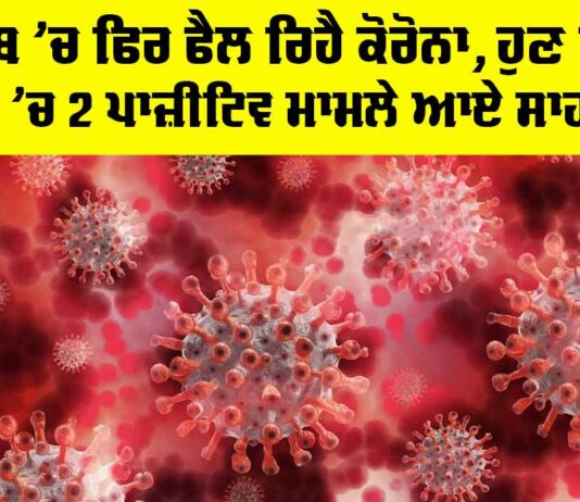 COVID Cases in Punjab