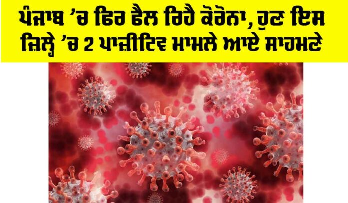COVID Cases in Punjab