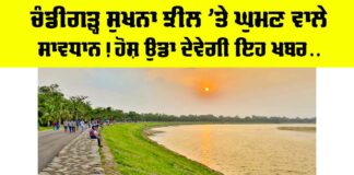 Chandigarh Sukhna Lake News
