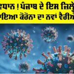 Coronavirus News