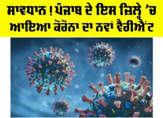 Coronavirus News