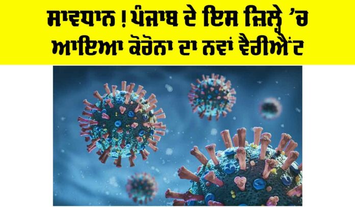 Coronavirus News