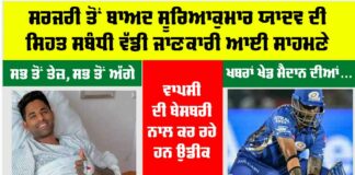 Cricket News