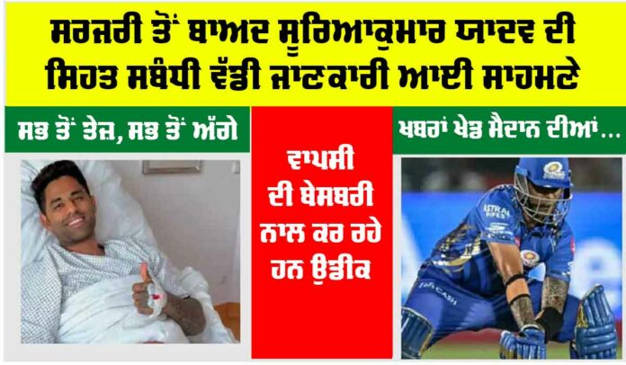 Cricket News