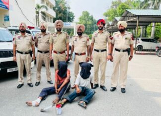 Crime News