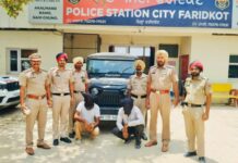 Drug Smuggling Busted