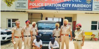 Drug Smuggling Busted