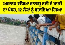 Falgu River Water Level
