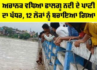 Falgu River Water Level