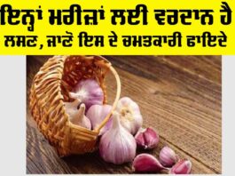 Garlic Benefits