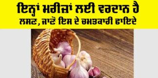 Garlic Benefits
