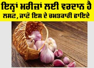 Garlic Benefits