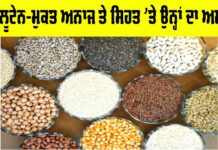 Gluten Free Grains