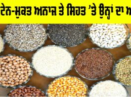 Gluten Free Grains