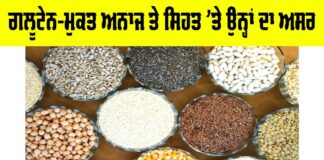 Gluten Free Grains
