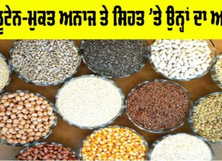 Gluten Free Grains