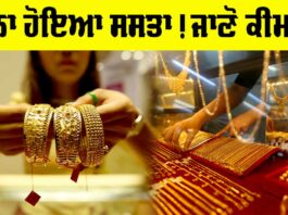 Gold Price Today