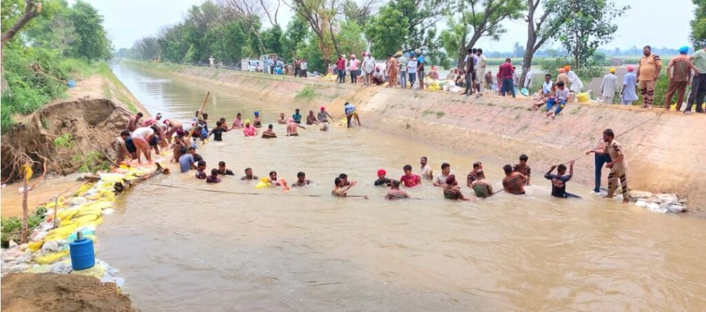 Canal Breach Punjab