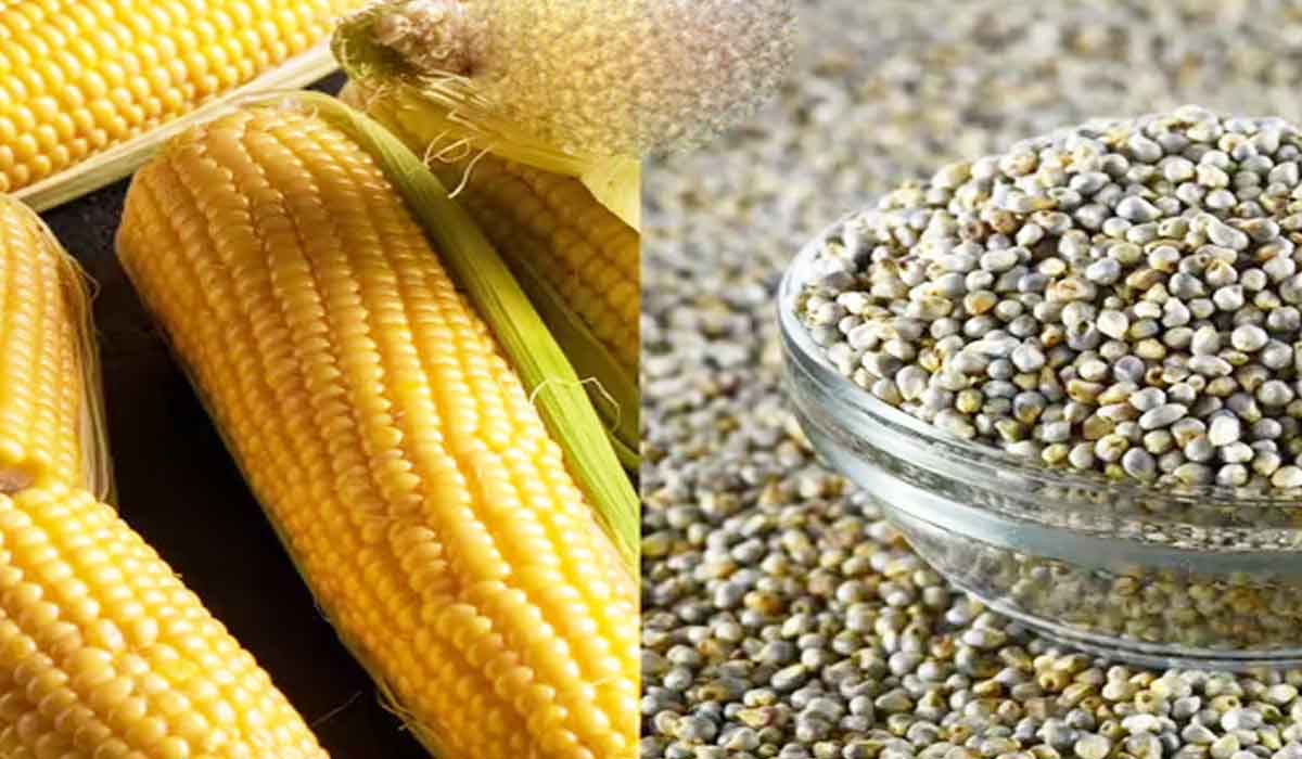 Gluten Free Grains