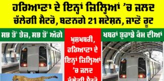 Haryana Metro News