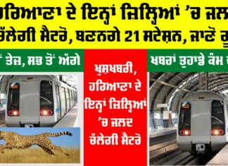 Haryana Metro News