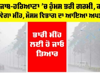 Haryana Punjab Weather Update
