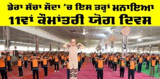 International Yoga Day