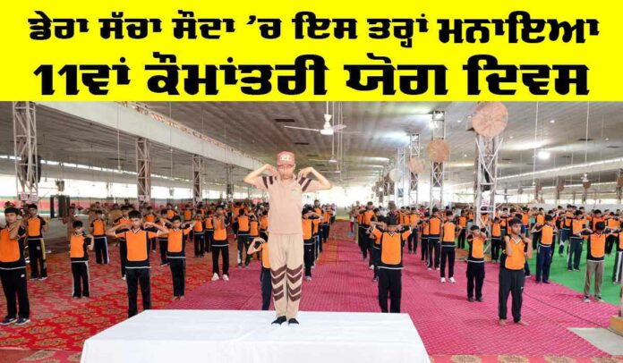 International-Yoga-Day-+p International Yoga Day