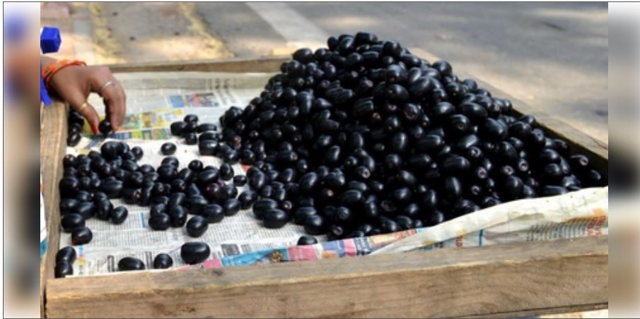 Jamun Fruit Benefits